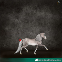 Horse Color:Platinum Chocolate Silver Buckskin Pearl Splash