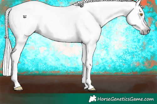 Horse Color:Gray Silver Classic Champagne Dun Appaloosa