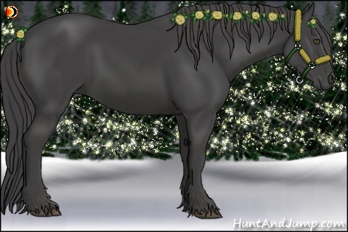 Horse Color:Smoky Black 