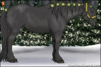 Horse Color:Smoky Black