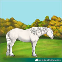 Horse Color:Cremello Dun Splash 