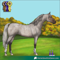 Horse Color:Silver Brown Roan Dun Tobiano 