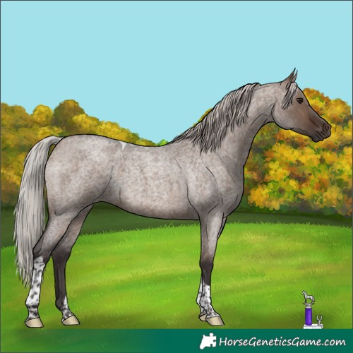 Horse Color:Silver Brown Roan Dun Tobiano 