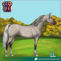 Horse Color:Silver Brown Roan Dun Tobiano 