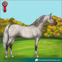 Horse Color:Silver Brown Roan Dun Tobiano 