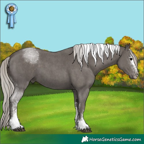 Horse Color:Silver Black Sabino Tobiano 
