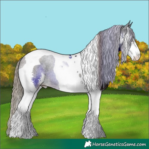 Horse Color:Liver Chestnut Sabino Tobiano