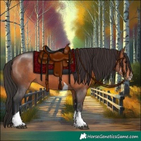 Horse Color:Brown Sabino Tobiano