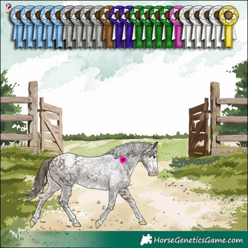 Horse Color:Bay Snowcap 