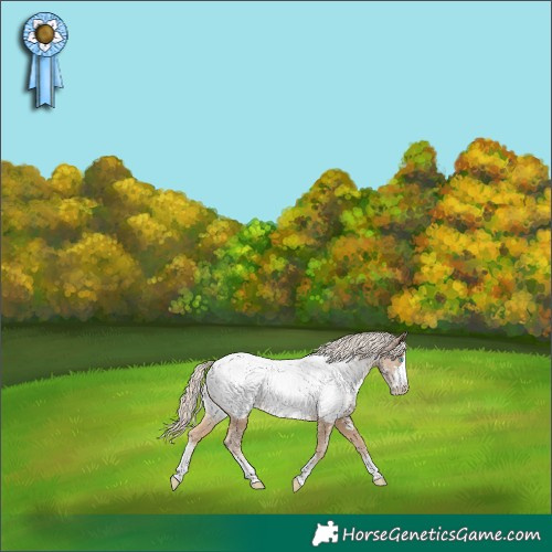 Horse Color:Chocolate Palomino Pearl Near Fewspot