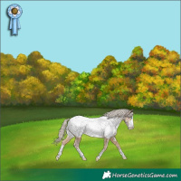 Horse Color:Chocolate Palomino Pearl Near Fewspot 