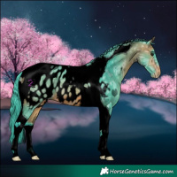 Horse Color:Void Watercolor Bay Ice Tobiano Blanket 