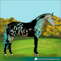 Horse Color:Void Watercolor Bay Ice Tobiano Appaloosa 