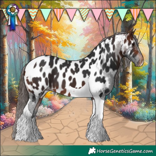 Horse Color:Brown Tobiano Appaloosa 