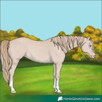 Horse Color:Smoky Creme 