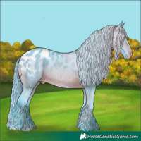 Horse Color:Watercolor Brown Appaloosa Rabicano 