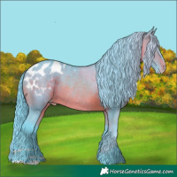 Horse Color:Watercolor Brown Appaloosa Rabicano 