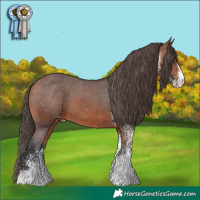 Horse Color:White Spotted Bay Varnish 