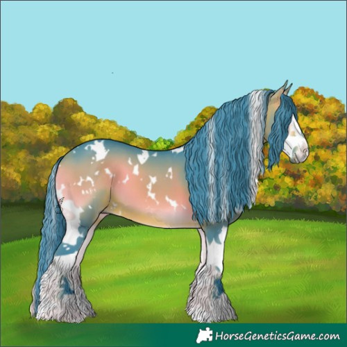 Horse Color:Watercolor White Spotted Bay Onyx Splash 