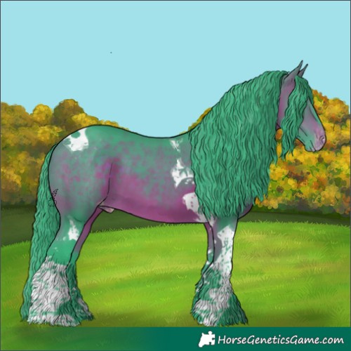 Horse Color:Watercolor Bay Tobiano Appaloosa 