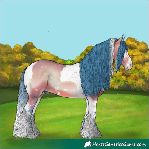 Horse Color:Watercolor White Spotted Bay Onyx Splash Tobiano 