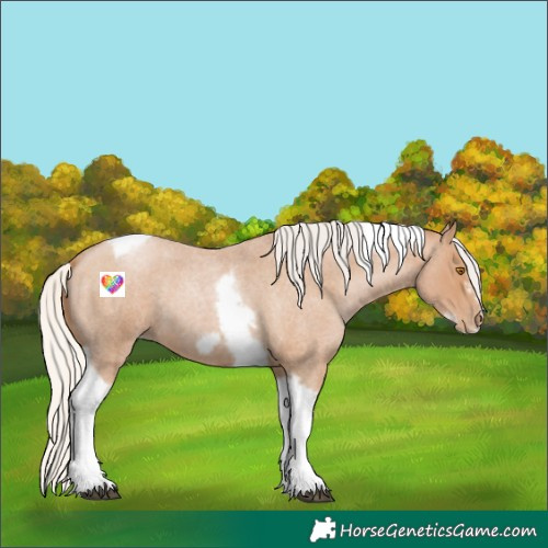 Horse Color:Silver Blue Roan Pearl Tobiano Frame 