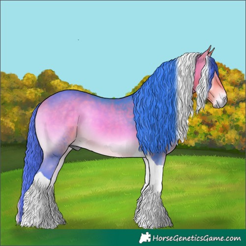 Horse Color:Watercolor Buckskin Onyx Tobiano 