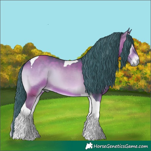 Horse Color:Watercolor Bay Onyx Tobiano 