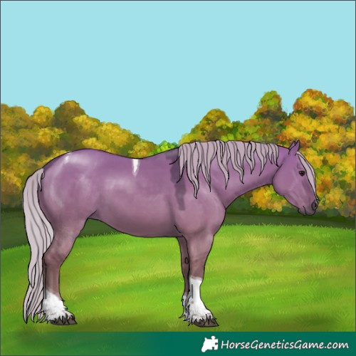 Horse Color:Silver Grullo Tobiano 