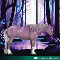 Horse Color:Silver Grullo Tobiano 