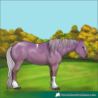 Horse Color:Silver Grullo Tobiano 