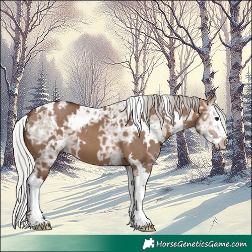 Horse Color:White Spotted Silver Brown Ice Dun Sabino Splash 