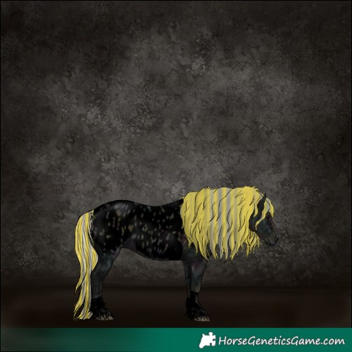 Horse Color:Void Painted Midnight Silver Buckskin Ice Onyx Tobiano Appaloosa 