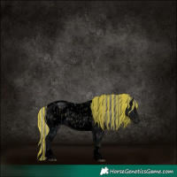 Horse Color:Void Painted Midnight Silver Buckskin Ice Onyx Tobiano Appaloosa 
