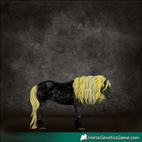 Horse Color:Void Painted Midnight Silver Buckskin Ice Onyx Tobiano Appaloosa 