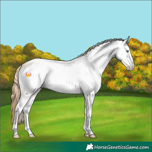 Horse Color:White Spotted Smoky Black Pearl 
