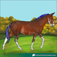 Horse Color:Painted Silver Brown Sabino 