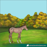 Horse Color:White Spotted Amber Champagne Mushroom Tobiano