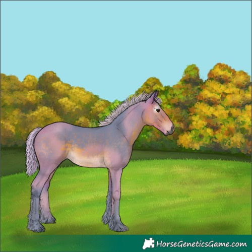 Horse Color:Gray Watercolor Silver Buckskin 