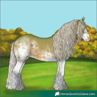 Horse Color:Watercolor Silver Black Splash 