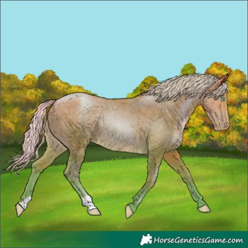 Horse Color:Watercolor Silver Buckskin Pearl 