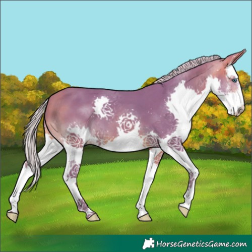 Horse Color:Watercolor White Spotted Silver Buckskin Splash 