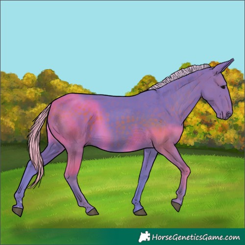 Horse Color:Watercolor Silver Smoky Black 