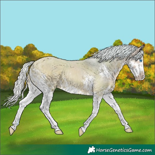 Horse Color:Watercolor Silver Buckskin Dun Splash 