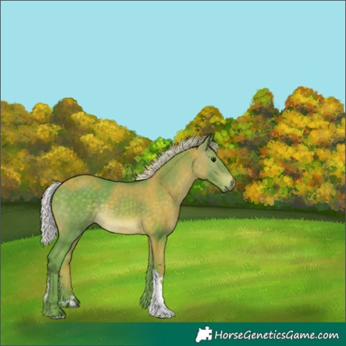 Horse Color:Watercolor Silver Brown Tobiano 