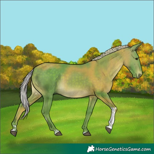 Horse Color:Watercolor Silver Brown Tobiano 