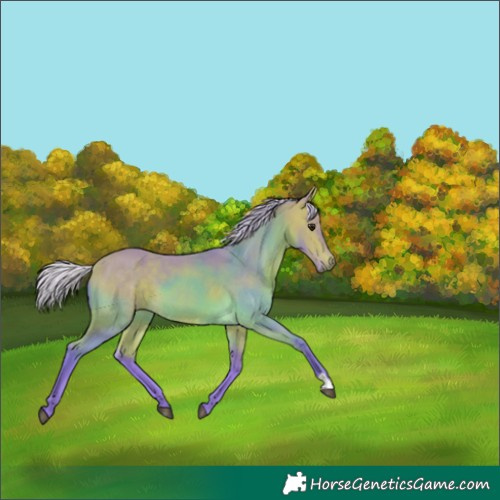 Horse Color:Watercolor Silver Buckskin 