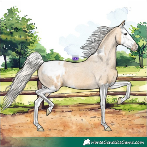 Horse Color:Silver Buckskin Roan Tobiano Appaloosa  and Silver Buckskin Splash Appaloosa 