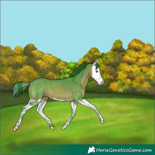 Horse Color:Watercolor Bay Splash 