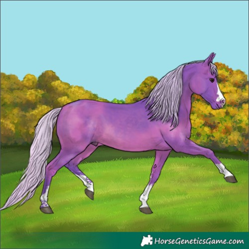 Horse Color:Watercolor Silver Brown 